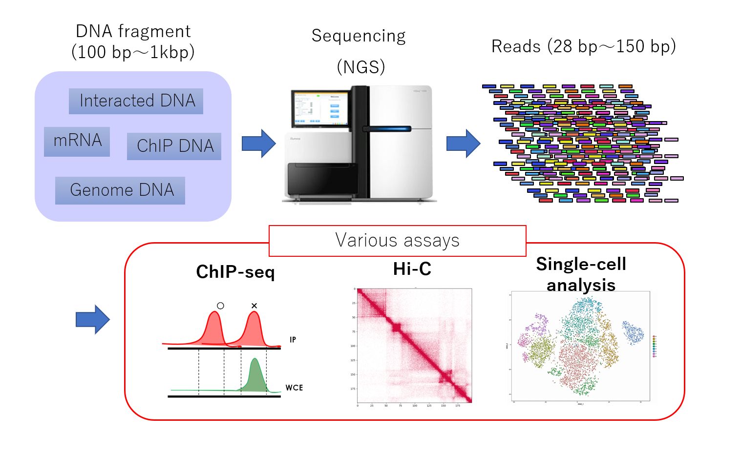 Various NGS assays