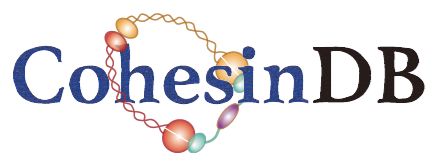 CohesinDB_logo