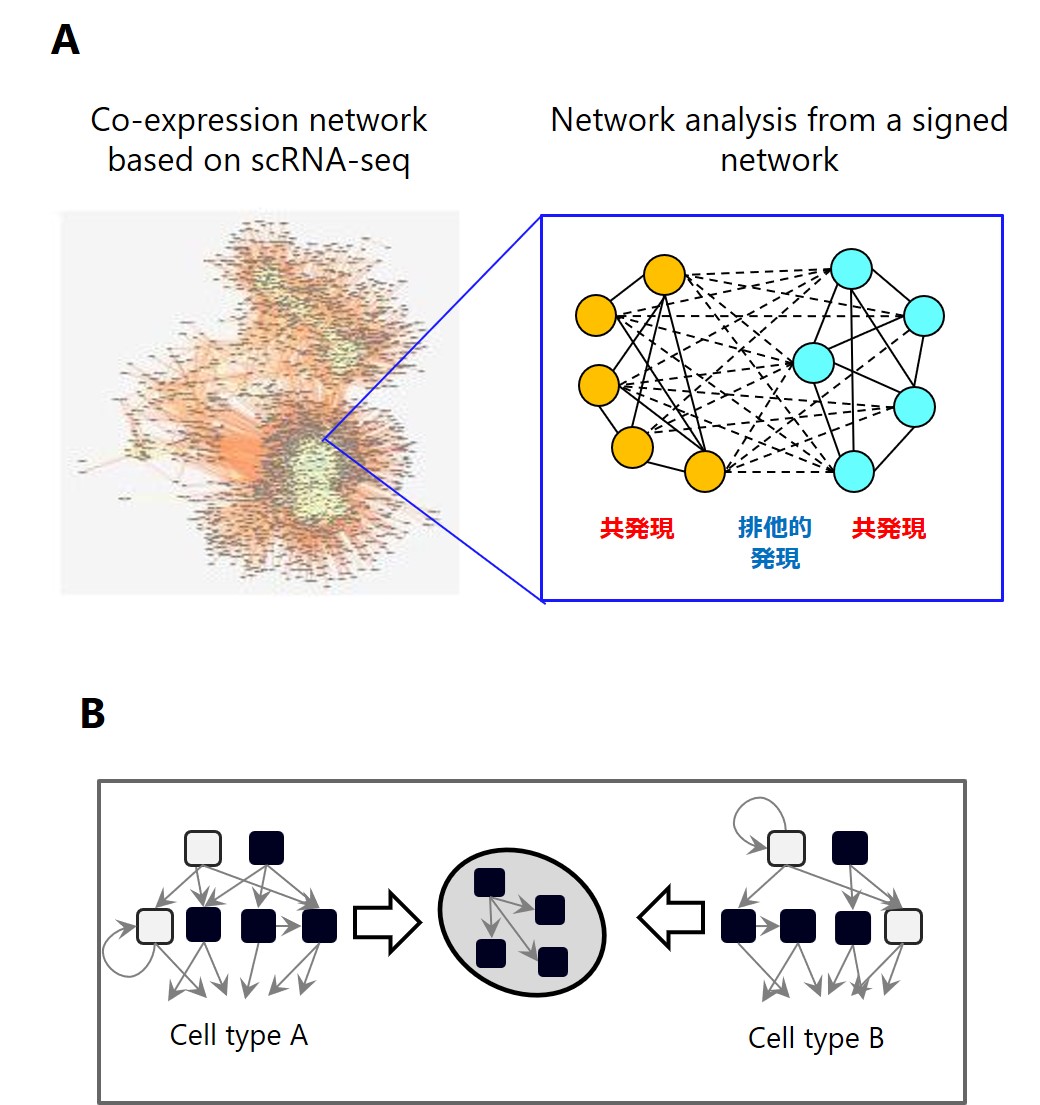 Network Analysis