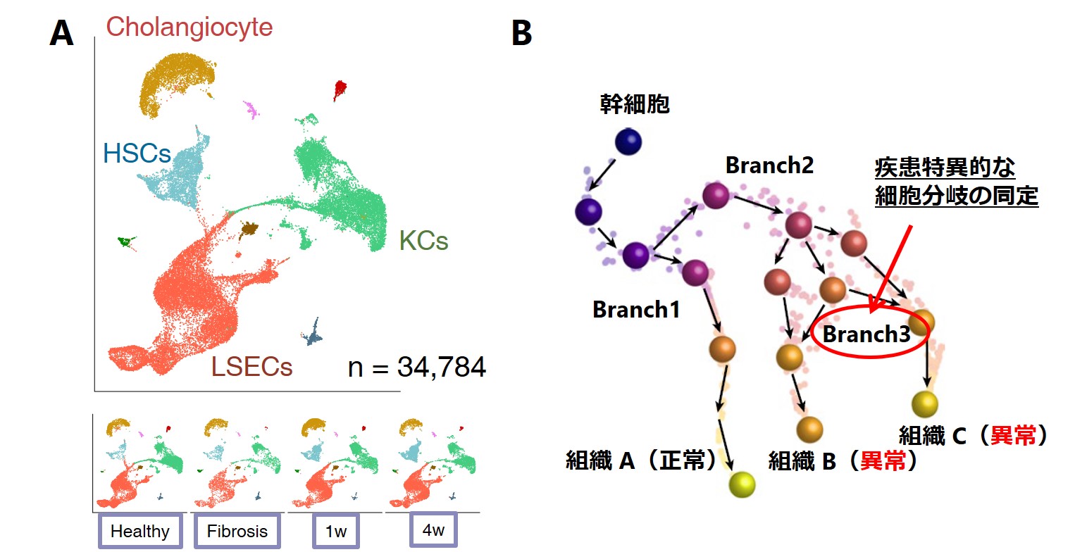 Figure: scRNAseq 1