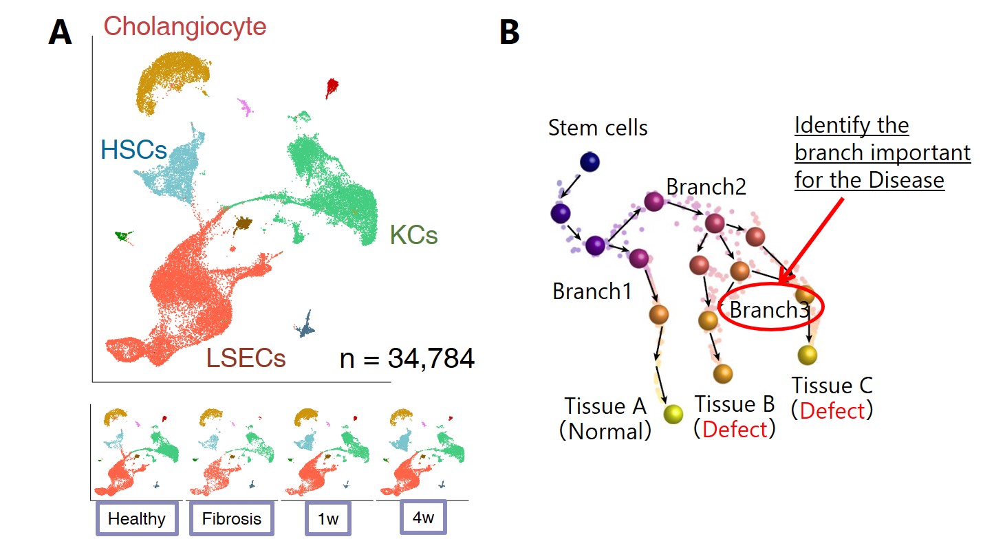 Figure: scRNAseq 1